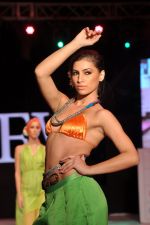 Model walk the ramp for Anupama Dayal Show at IRFW 2012 Day 1 in Goa on 28th Nov 2012 (80).JPG